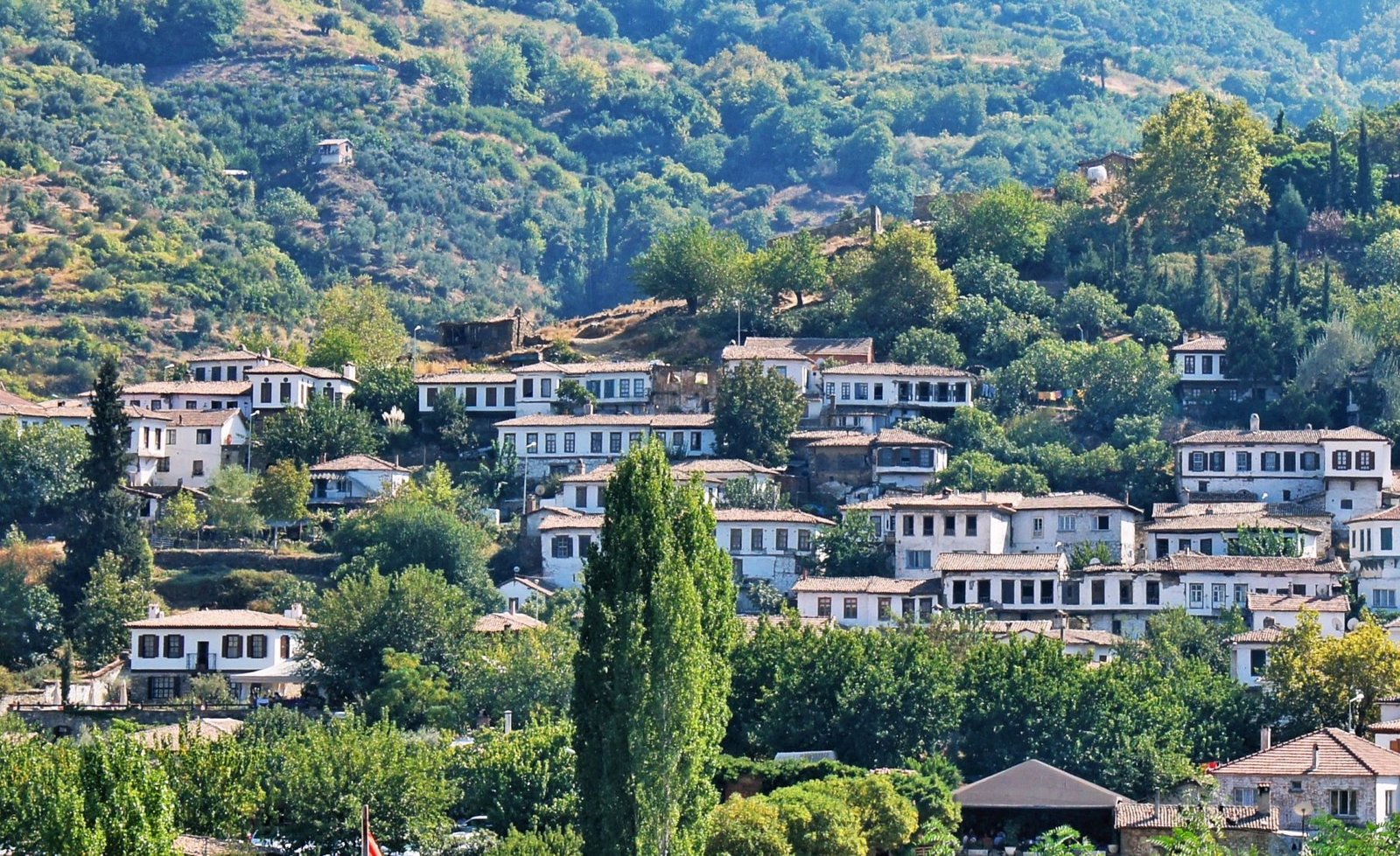sirince selcuk