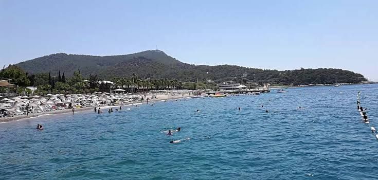 yali bodrum